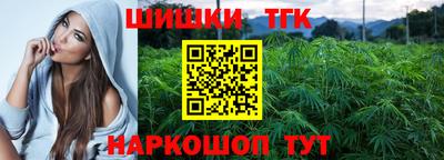 наркотики Кингисепп