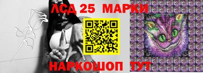наркотики Кингисепп